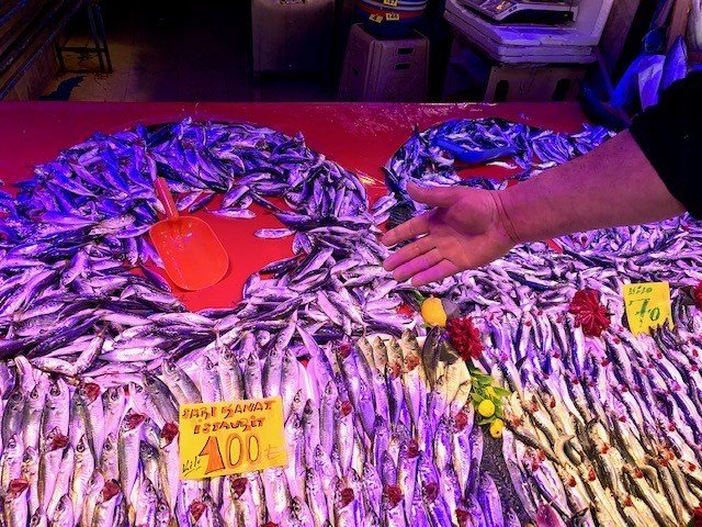 Eskişehir’de Balık Fiyatları