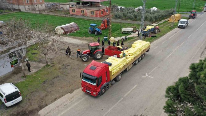Gaziantep’te Arpa Ve Buğday Üreticilerine Gübre Desteği