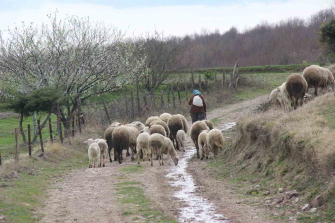 O Dağların 60’lık Heidi’si