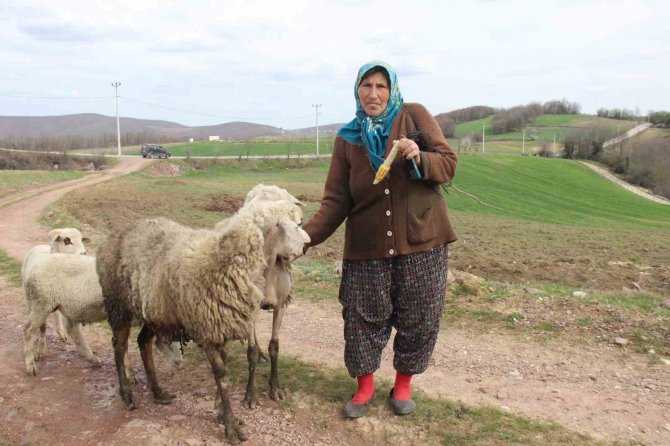 O Dağların 60’lık Heidi’si