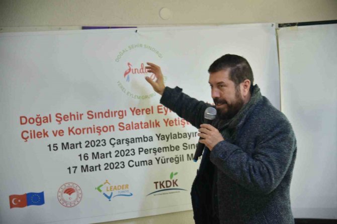 Sındırgı’da Salatalığın Kalitesinin Ve Üretiminin Arttırılması Hedefleniyor