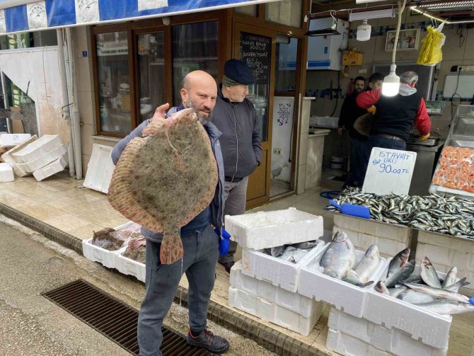 Karadeniz’de Avlanan 8 Kiloluk Kalkan Balığı 5 Bin Liraya Satıldı