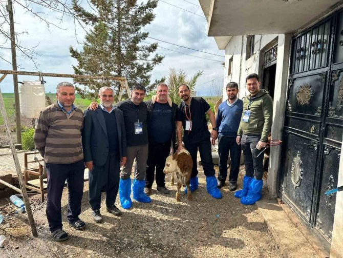 Deü’lü Uzmanlardan Deprem Bölgesinde Şap Virüsü Uyarıları