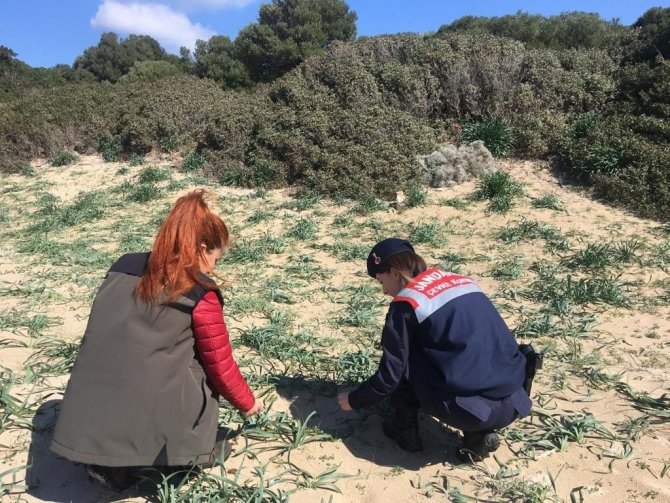 Jandarmadan “Endemik Tür” Devriyesi