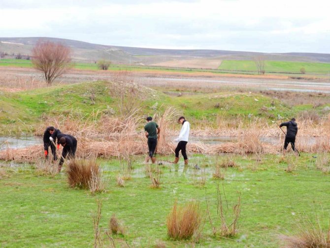 Kuluçkaya Yatan Kuşlar İçin 125 Söğüt Fidanı Dikildi