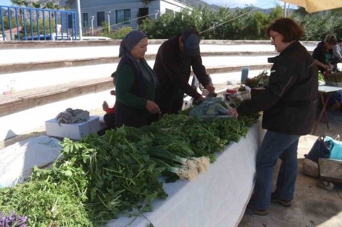 Göcek’te Ot Yemekleri Festivaline İlgi Yoğun Oldu