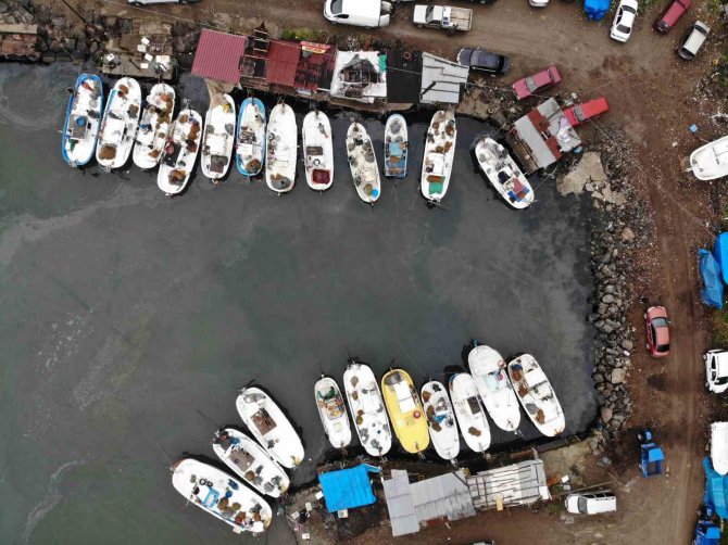 Karadeniz’in ‘Kadın Reisleri’