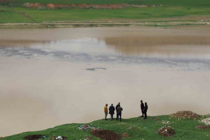Çiftçinin Evdeki Hesabı Çarşıya Uymadı: Kuruyan Gölette Buğday Ekti, Sağanak Biçti