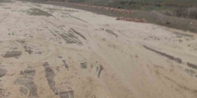 Elazığ’da Şiddetli Yağışlar Sonrası Dereler Coştu