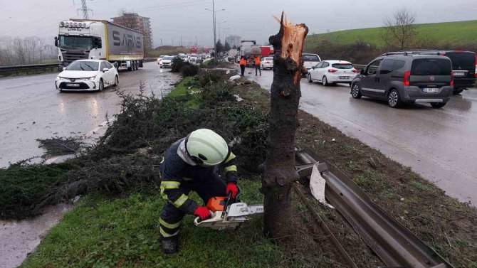 Samsun’da Bariyeri Parçalayan Tırın Motoru Karşı Şeride Fırladı: 1 Yaralı