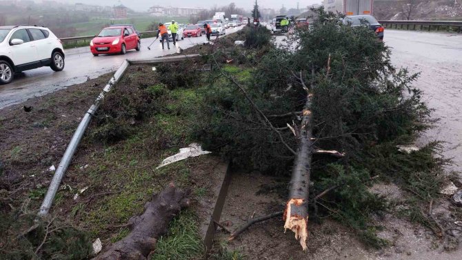 Samsun’da Bariyeri Parçalayan Tırın Motoru Karşı Şeride Fırladı: 1 Yaralı