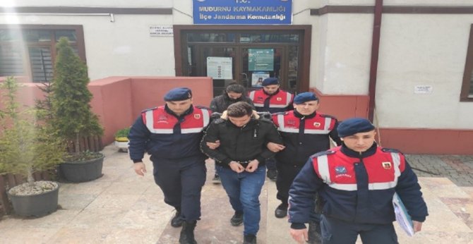 Bu Da Tavuk Hırsızlığı