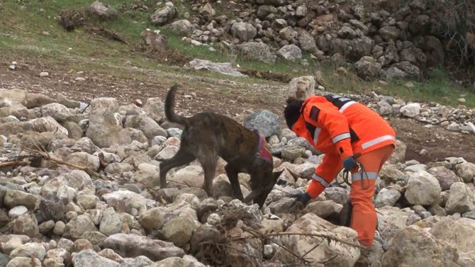 1,5 Yaşındaki Zeynep Hassas Burunlu Köpek İle Aranıyor