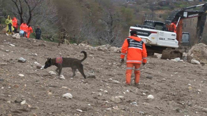 1,5 Yaşındaki Zeynep Hassas Burunlu Köpek İle Aranıyor