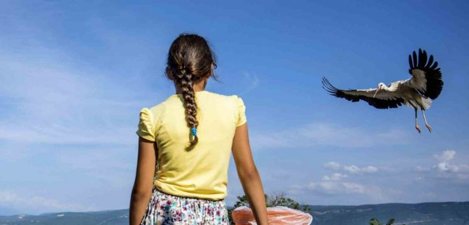 Baharın Habercisi Leylekler Erzincan’a Erken Geldi