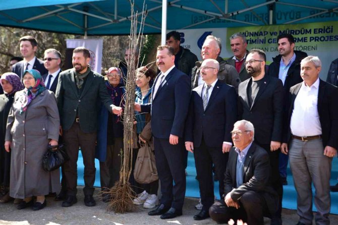 Balıkesir Büyükşehir’den Çiftçiye Hünnap Ve Mürdüm Eriği Desteği