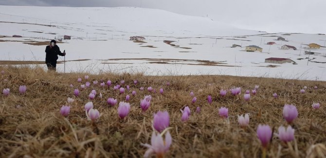 Bayburt - Trabzon Sınırındaki Yaylalar Beyaza Büründü