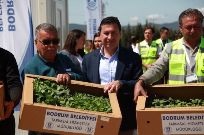 Üreticilere Fide Desteği Verilecek