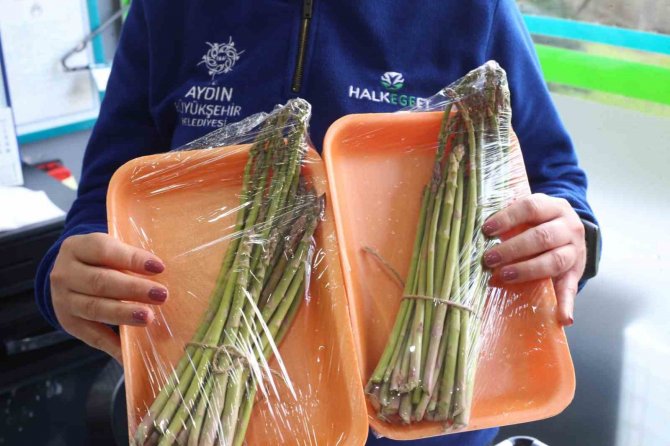 Büyükşehir Belediyesi, Kuşkonmaz Hasadına Başladı