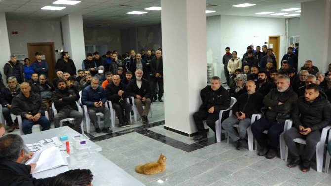 Konteynır Çarşı Kuraları Çekildi
