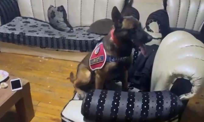 Deve Ahırında 2 Kilo Uyuşturucu Daha Ele Geçirildi