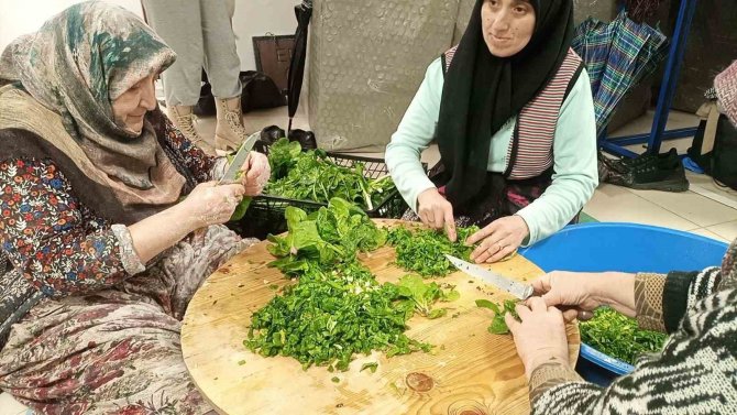 Kadın Başkan Depremzedeler İçin Gözleme Yaptı