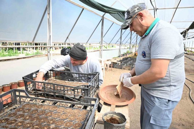 Kemer’in Çiçekleri Sezona Hazır