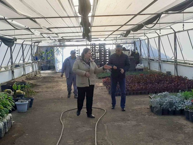 Kemer’in Çiçekleri Sezona Hazır