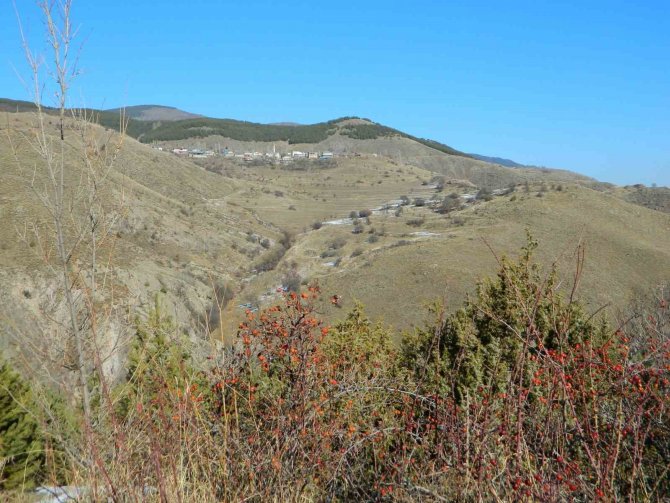 Posof’ta Da Buzlar Çözülüyor