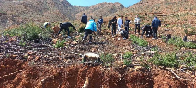 Marmaris’te Fidan Dikim Etkinlikleri Devam Ediyor
