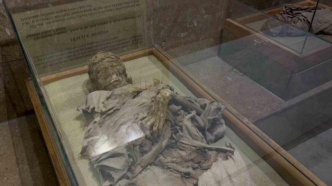 Bin Yıllık Mumyalar, Ziyaretçilerin İlgisini Çekiyor
