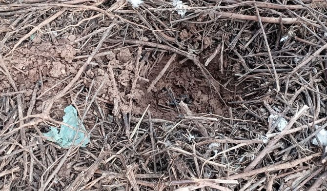 Sel Sonrası Ortaya Çıkan Görüntü Korkuttu