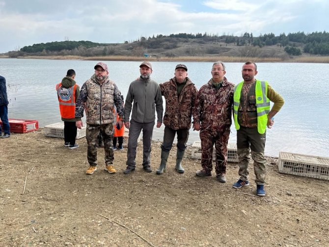 300 Yaban Ördeği Doğaya Salındı