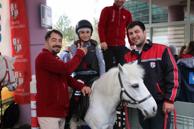 Yaraları Sarmak İçin 4 Nala Koştular