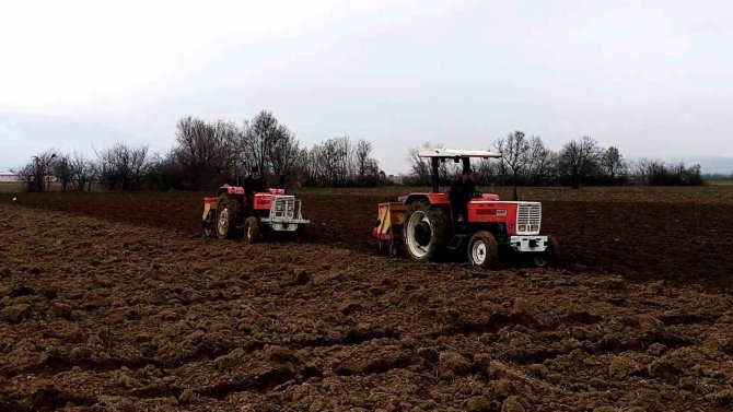 Bursa’da ‘Sarı Altın’ Ekimi Başladı