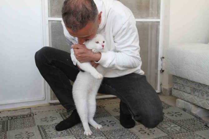Depremde Enkazdan Kurtarılan Kedi, Mikroçip Sayesinde Sahibine Teslim Edildi