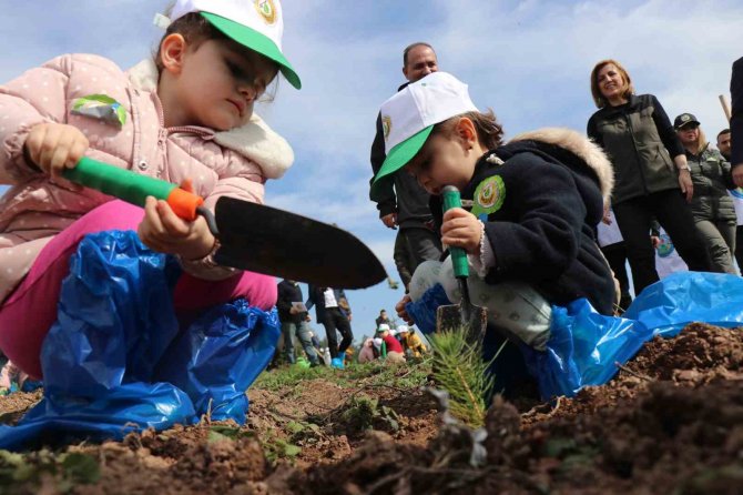 Deprem Şehitleri Anısına 3 Bin 900 Fidan Toprakla Buluştu