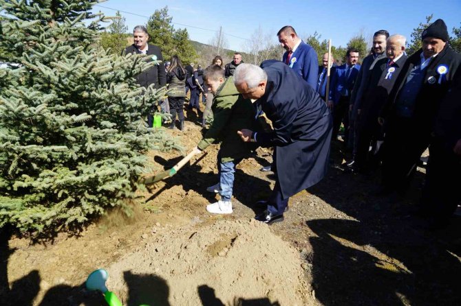 Kastamonu’da Fidanlar Depremzedeler İçin Dikildi