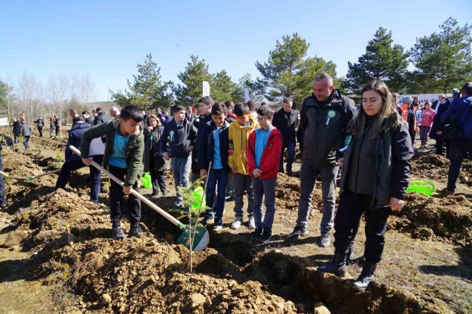 Kastamonu’da Fidanlar Depremzedeler İçin Dikildi
