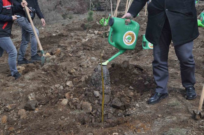 İ̇nönü’de 2 Bin Fidan Dikilerek 6 Şubat Deprem Şehitleri Ormanı Oluşturuldu