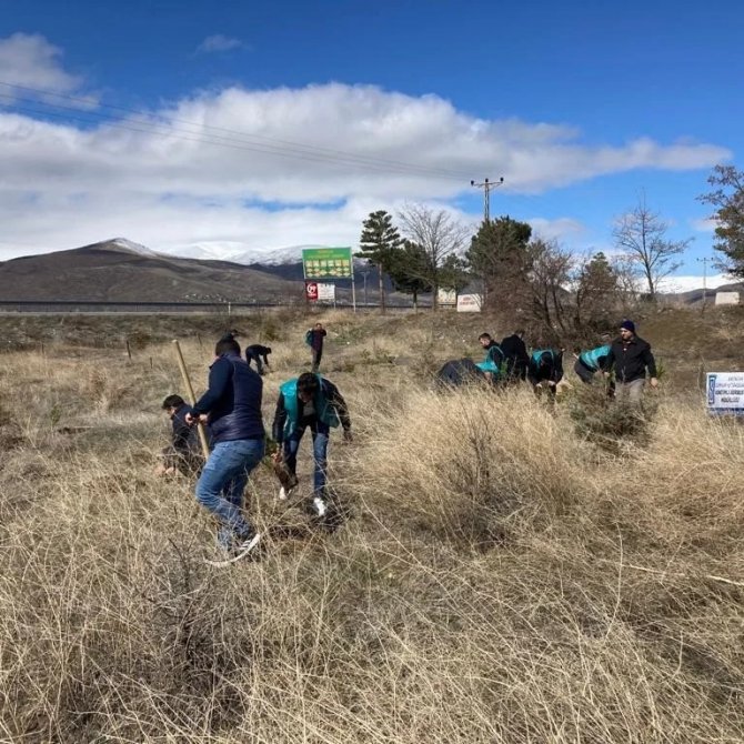 Erzincan’da Yükümlülerden Fidan Dikim Ve Bakım Çalışması