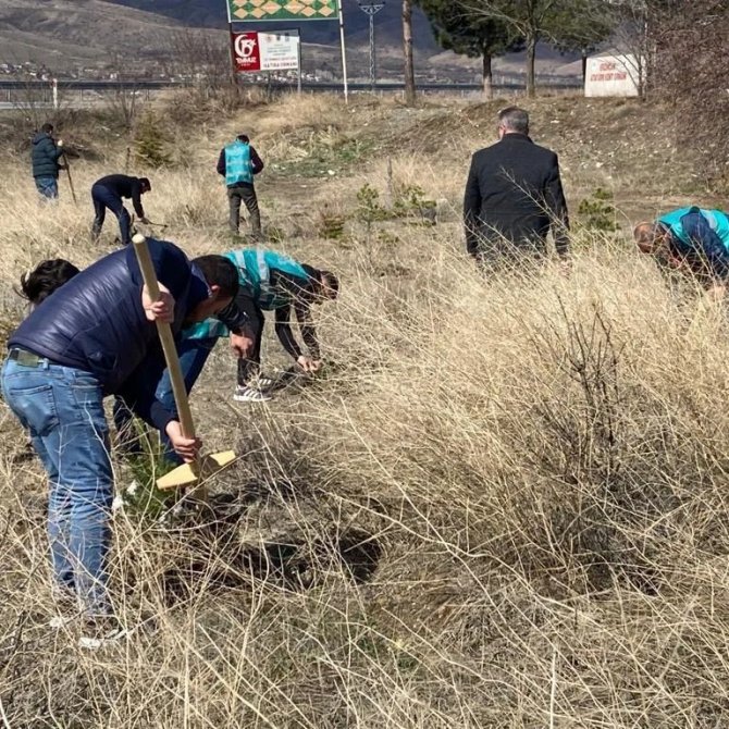 Erzincan’da Yükümlülerden Fidan Dikim Ve Bakım Çalışması