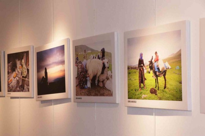 Bu Serginin Geliri Depremzedelere Bağışlanacak