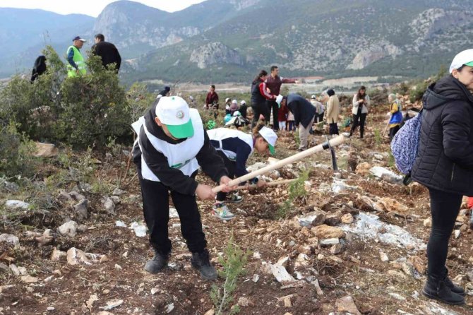 Denizli’de Deprem Şehitleri Hatıra Ormanında İlk Fidanlar Toprakla Buluştu