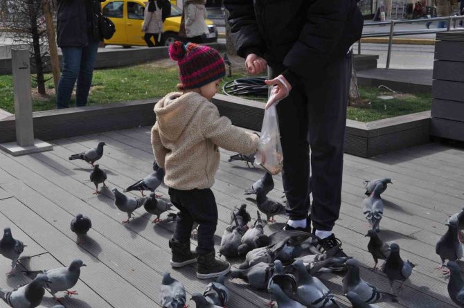 Hayvan Sevgisi Bu Yaşta Böyle Başlıyor