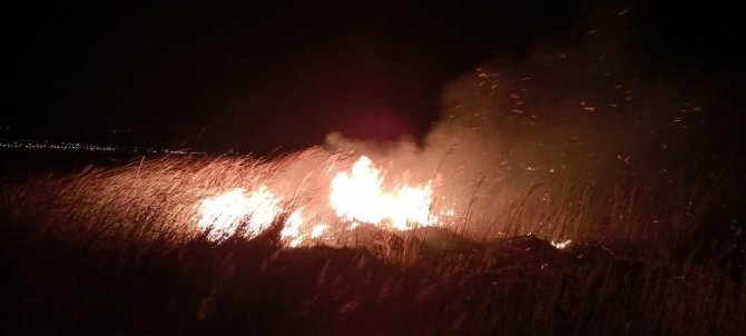 ’Kuş Cenneti’ndeki Yangınlar Çevrecileri Endişelendiriyor