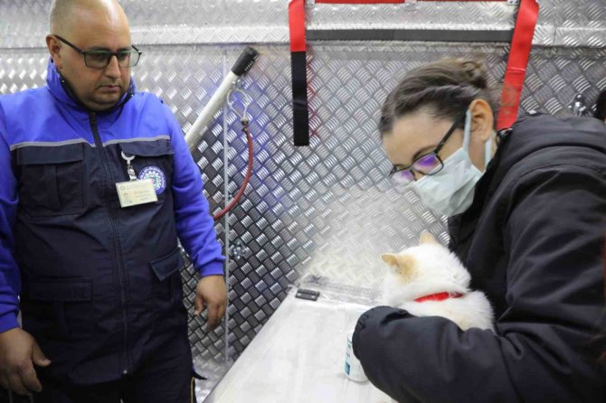 Büyükşehir Acil Müdahale Aracı İle Depremzede Candostların Yanında