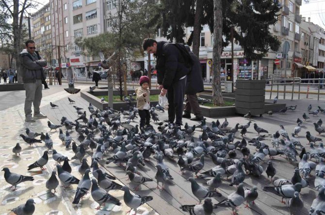 Hayvan Sevgisi Bu Yaşta Böyle Başlıyor