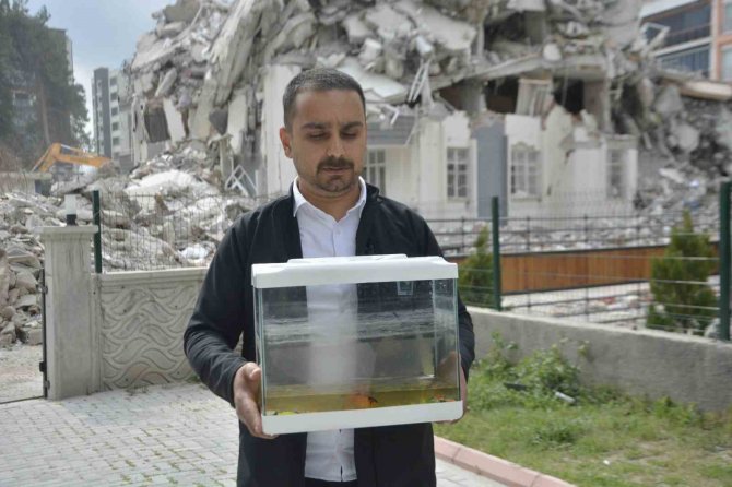 Depremde Öldü Diye Düşündükleri Balıkları 44 Gün Sonra Canlı Bulundu