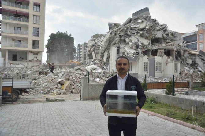 Depremde Öldü Diye Düşündükleri Balıkları 44 Gün Sonra Canlı Bulundu